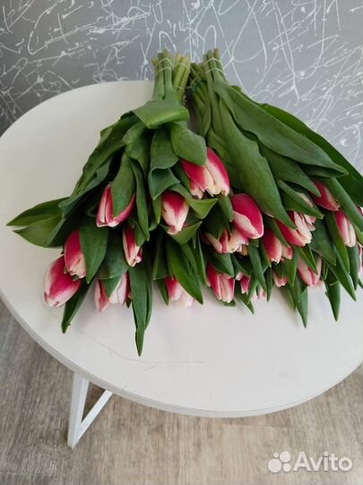 Тюльпаны крупный бутон