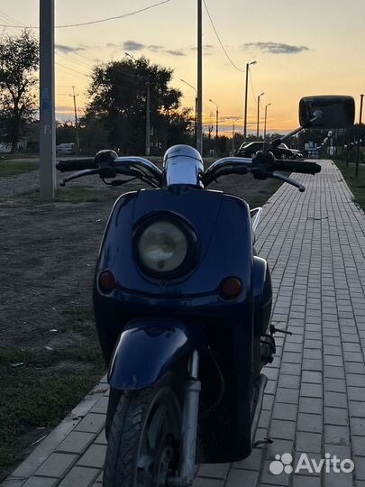 Stels alpha binelli 49.9