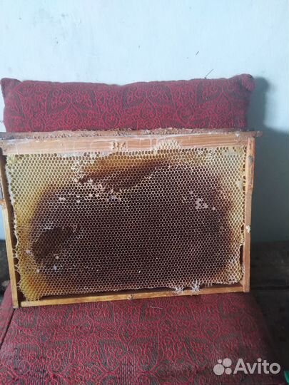 Рамки с сушью Дадан