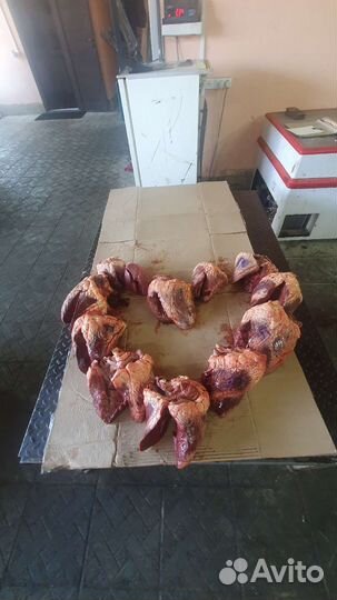 Сердце говяжье