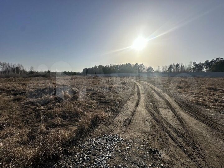 Участок 10 сот. (СНТ, ДНП)