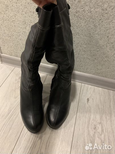 Сапоги женские