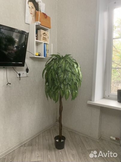 Искусственное дерево Манго