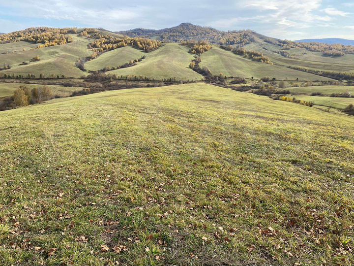 Участок 3 га (СНТ, ДНП)