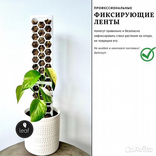 Тотем для растений