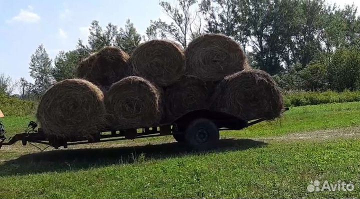 Продам сено в рулонах