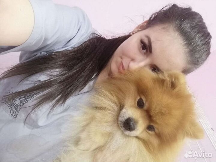 Стрижка животных, Кастрация