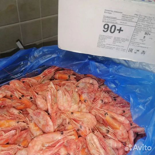 Северная креветка