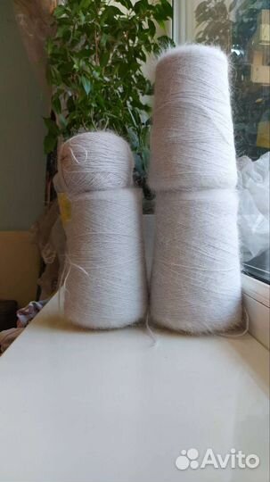 Ангора Италия