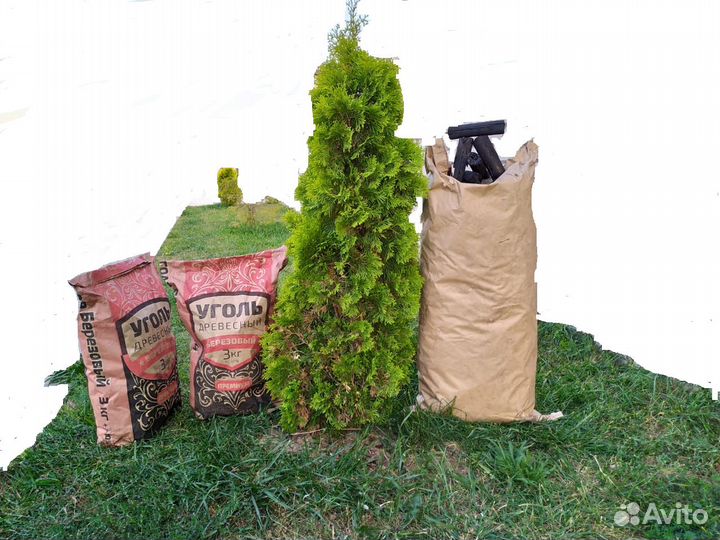 Древесный уголь карандаш из берёз