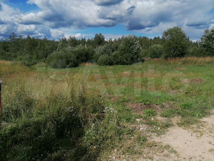 Участок 10 сот. (СНТ, ДНП)