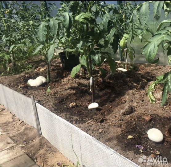 Компост из под шампиньонов