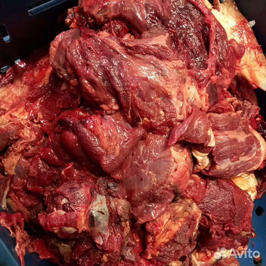 Говяжьи обрези для собак