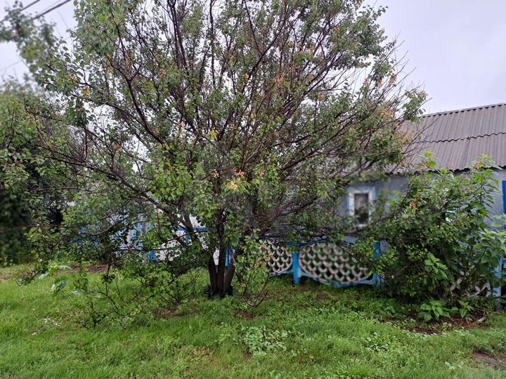 Дом 100 м² на участке 60 сот.