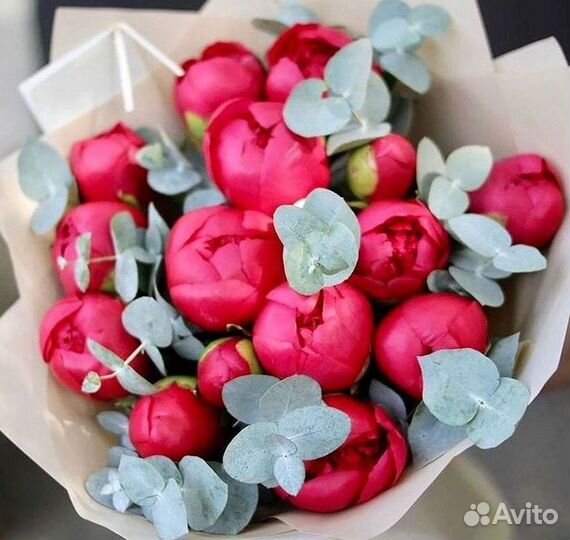 Пионы Букет