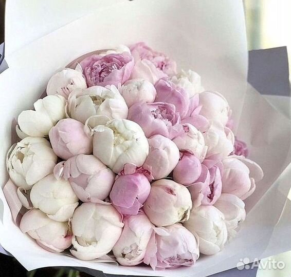 Пионы Букет пионов