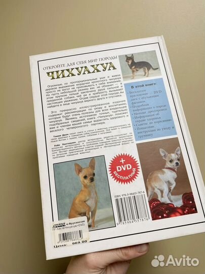 Книга Джэн Тэмми: Чихуахуа