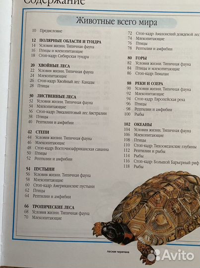 Детские книги(энциклопедии и др.)