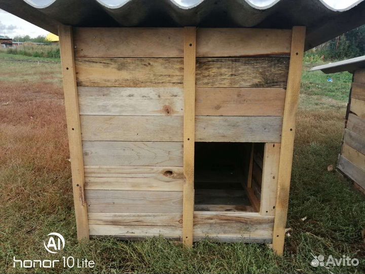 Собачья конура