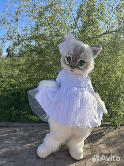 Котик Чарли и кошечка Молли, ростовые куклы