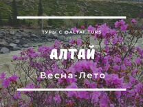 Туры на Алтай (весна-лето)
