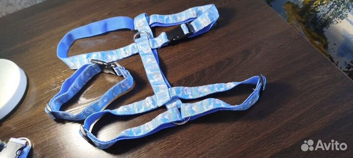 Амуниция для собак