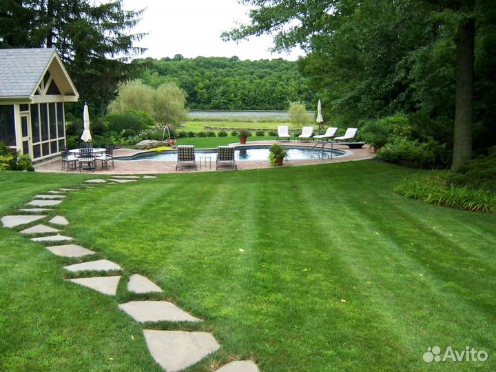 Укладка рулонных газонов под ключ