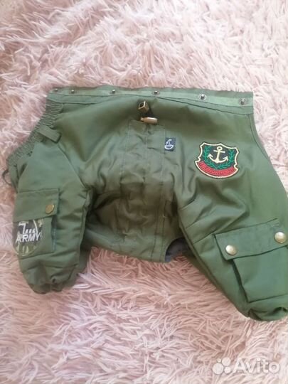 Одежда для собак мелких пород