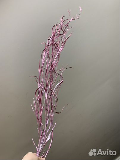 Сухоцветы и стабилизированные цветы