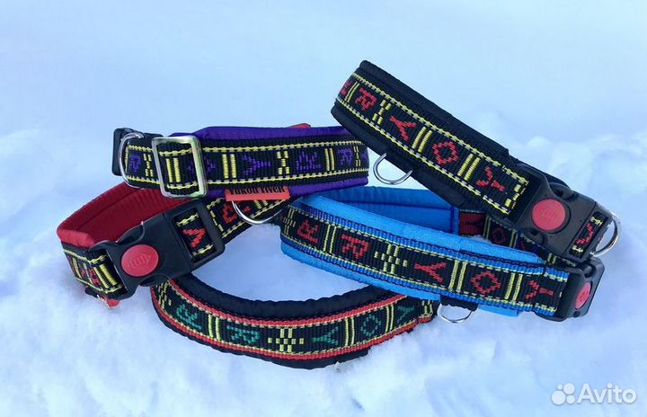 Ошейники и шлейки для средних и крупных собак