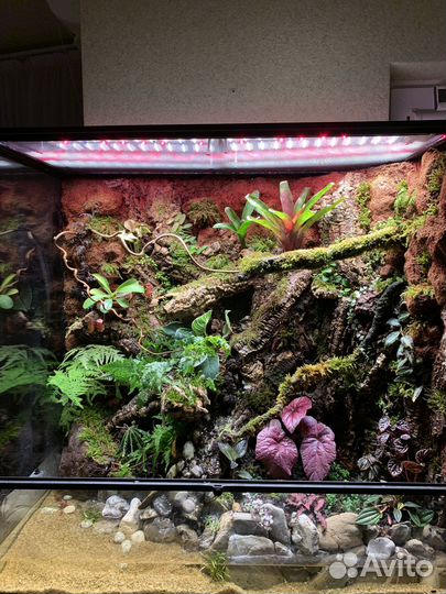 Флорариум 90 см*45 см*90 см (365 л)