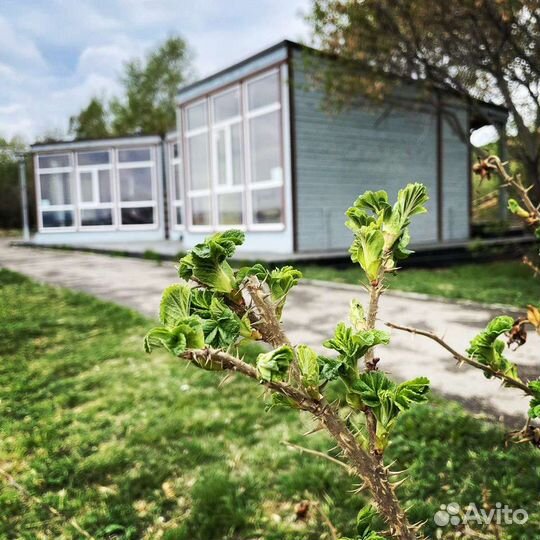 Проведение мероприятий, праздников