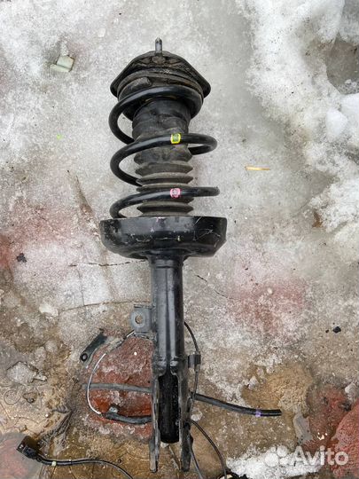 Амортизатор стойка Lexus UX