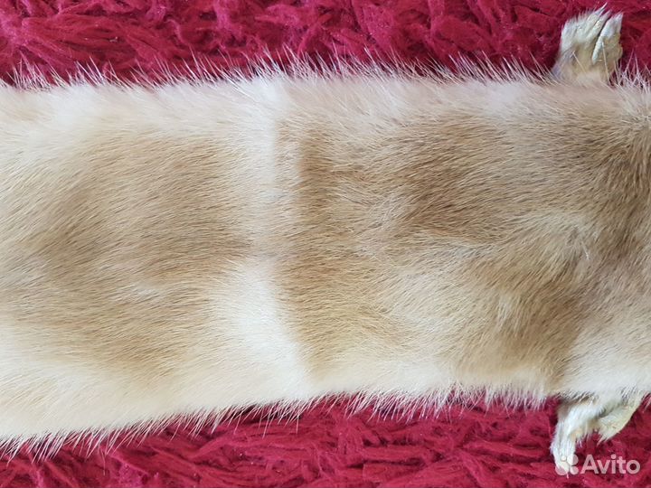 Норка шкурка-чулок воротник