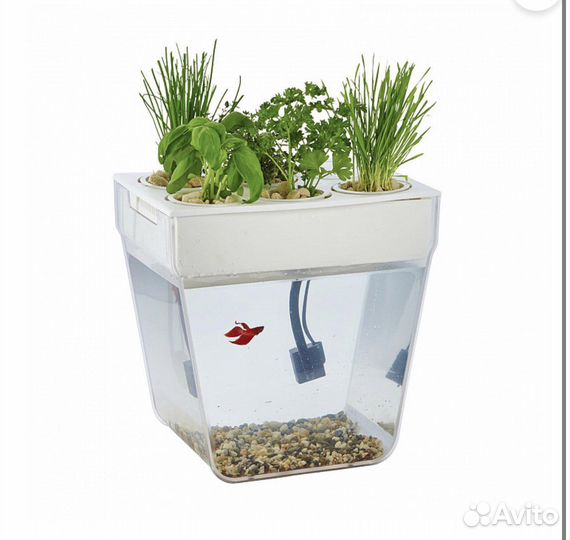 Аквариум, акваферма, фильтр, растения