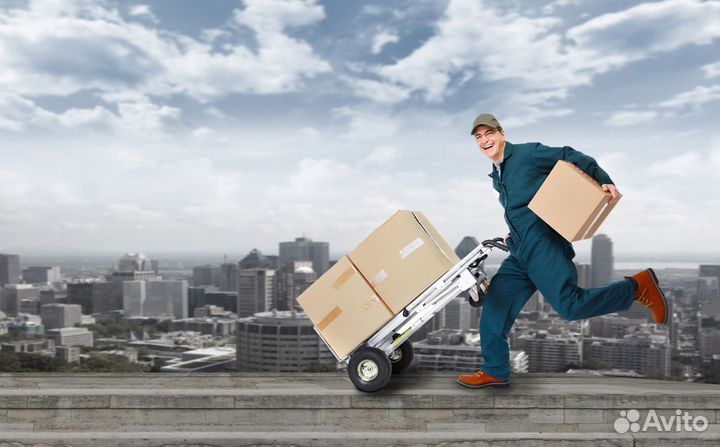 Грузчики на склад Ночные смены Ежедневный расчет