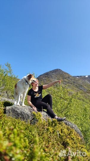 Передержка домашних животных