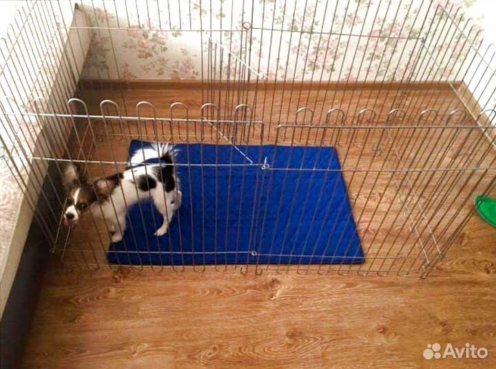 Вольер 5 секций