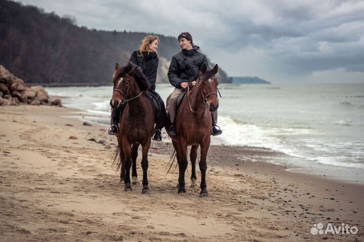 Фотосессии с лошадьми Зеленоградск, Куршская коса