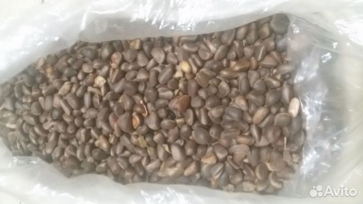 Материал для поделок (кедровые орешки)