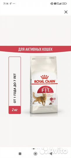 Сухой корм для кошек royal canin