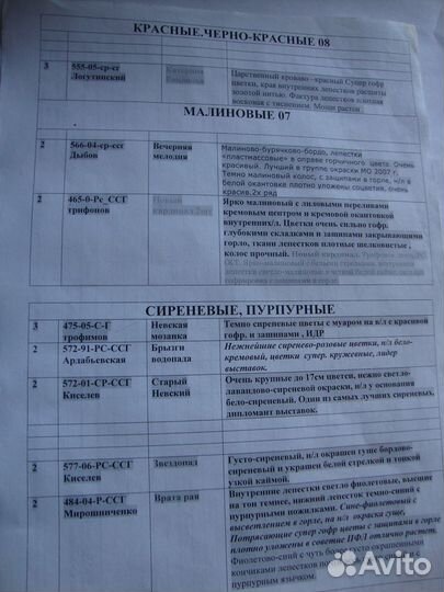 Гладиолусы луковицы сортовые флоксы тюльпаны