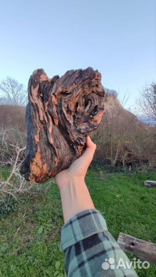 Дрифтвуд Даборатория