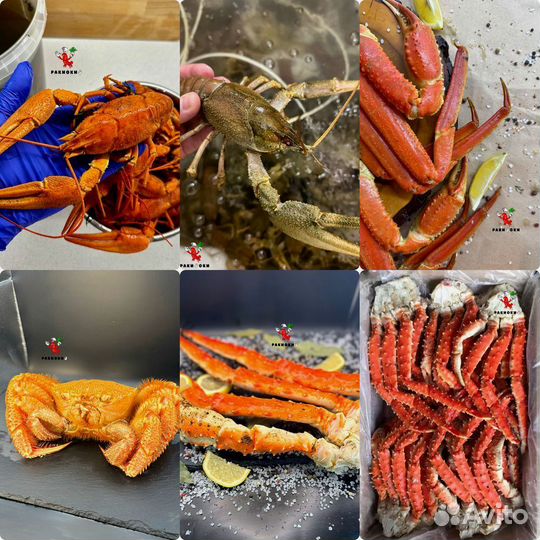Раки живые, дикие