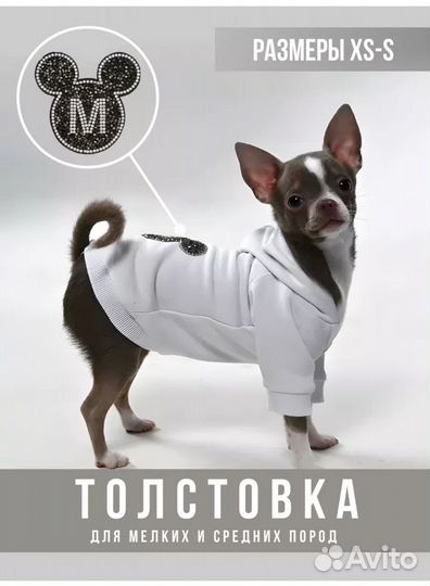 Костюм для собаки мелких пород