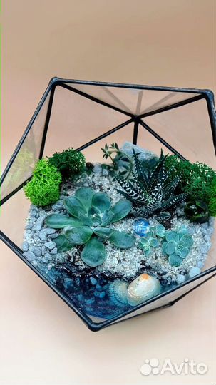 Флорариум (пример)