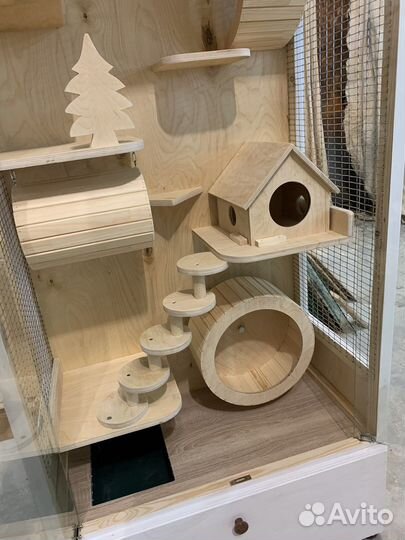 Клетки витрины