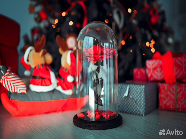 Роза в колбе Deluxe Красная