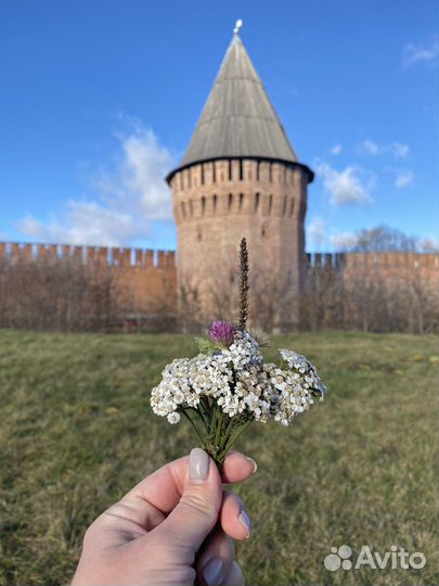 Экскурсии по Смоленску