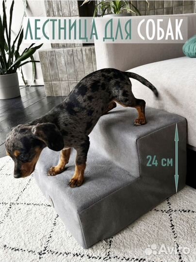 Лестница для собак